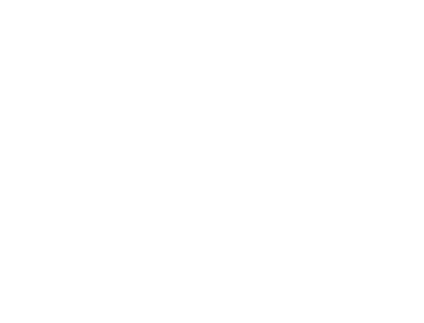 steez on wheels